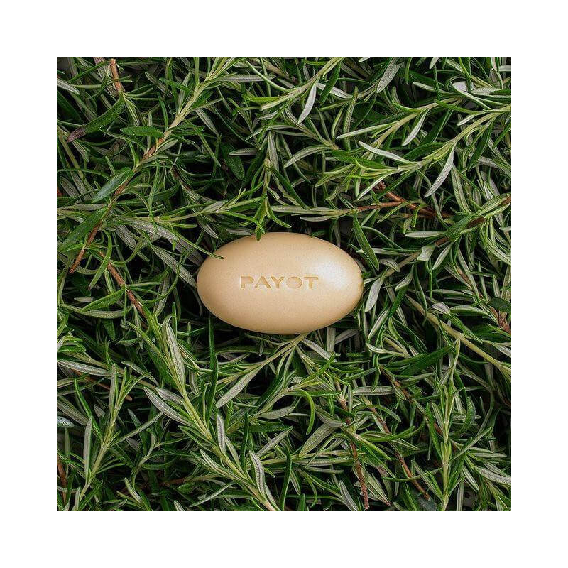 Barre de massage romarin Herbier Payot 50g