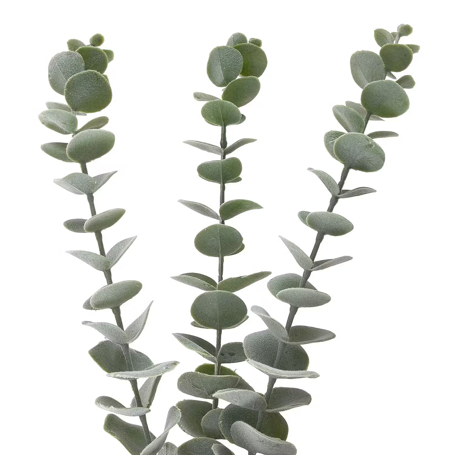 FLORISTA Eukalyptuszweig 4er-Set