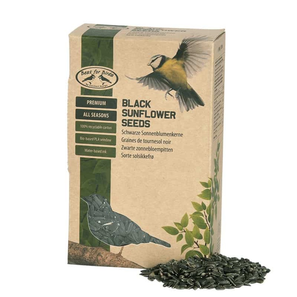 Graines tournesols noires pour oiseaux