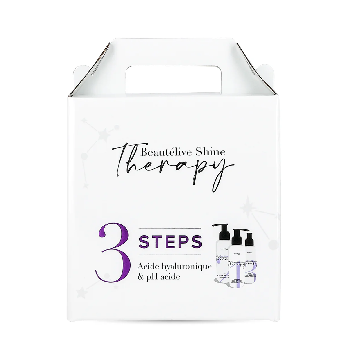 Kit SHINE THERAPY 450ml