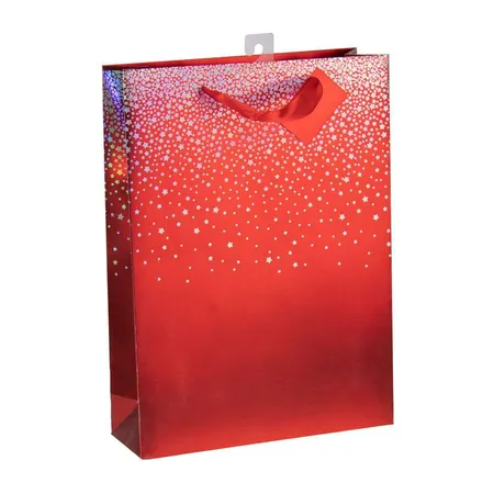 Idena Geschenktasche 