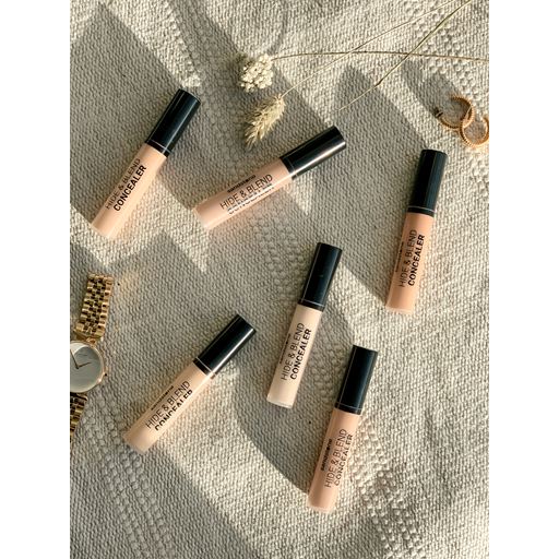 Sandstone Hide & Blend Concealer, C2 Ivory