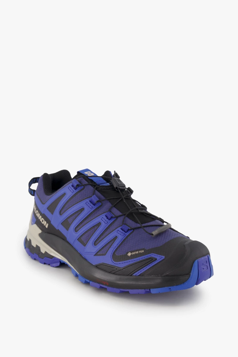 Salomon XA Pro 3D V9 Gore-Tex® Herren Trekkingschuh