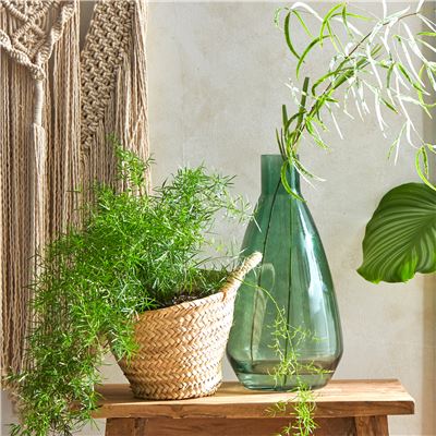 Grand vase vert