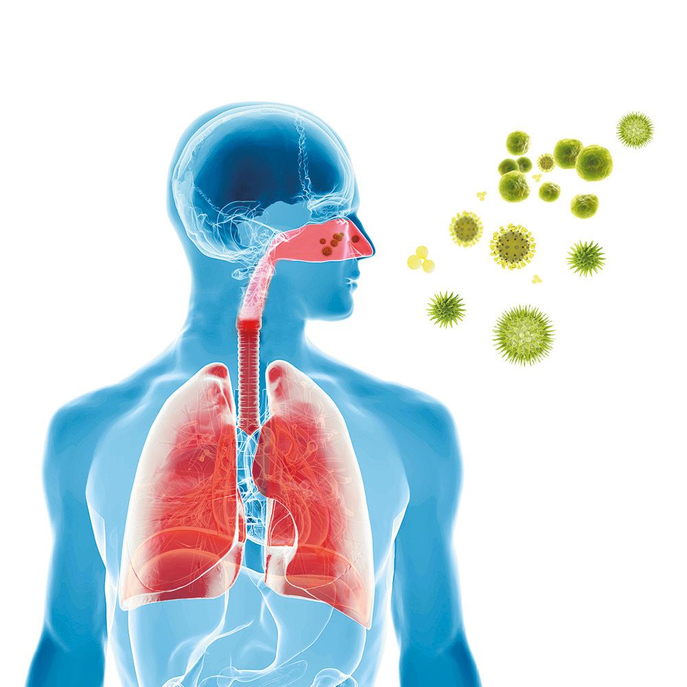 CONTRALLERGIA HEVERT® Heuschnupfentropfen