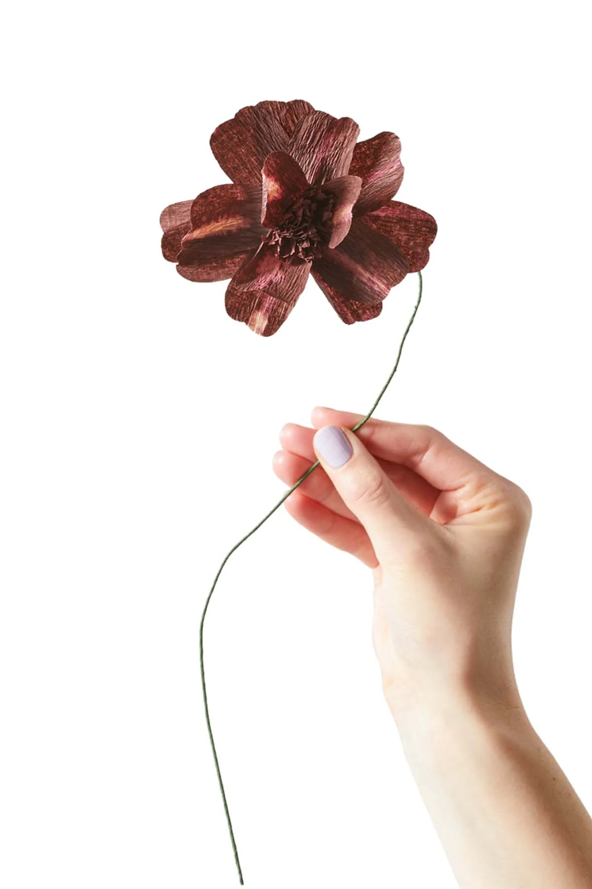 Studio About  Daisy Papirblomst - Bordeaux