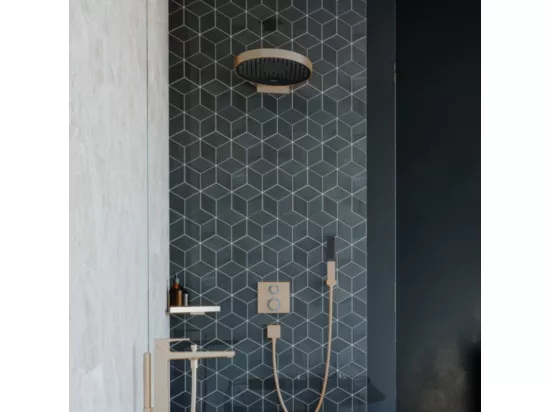 Douche de tête HANSGROHE Pulsify S 260 EcoSmart Bronze brossé