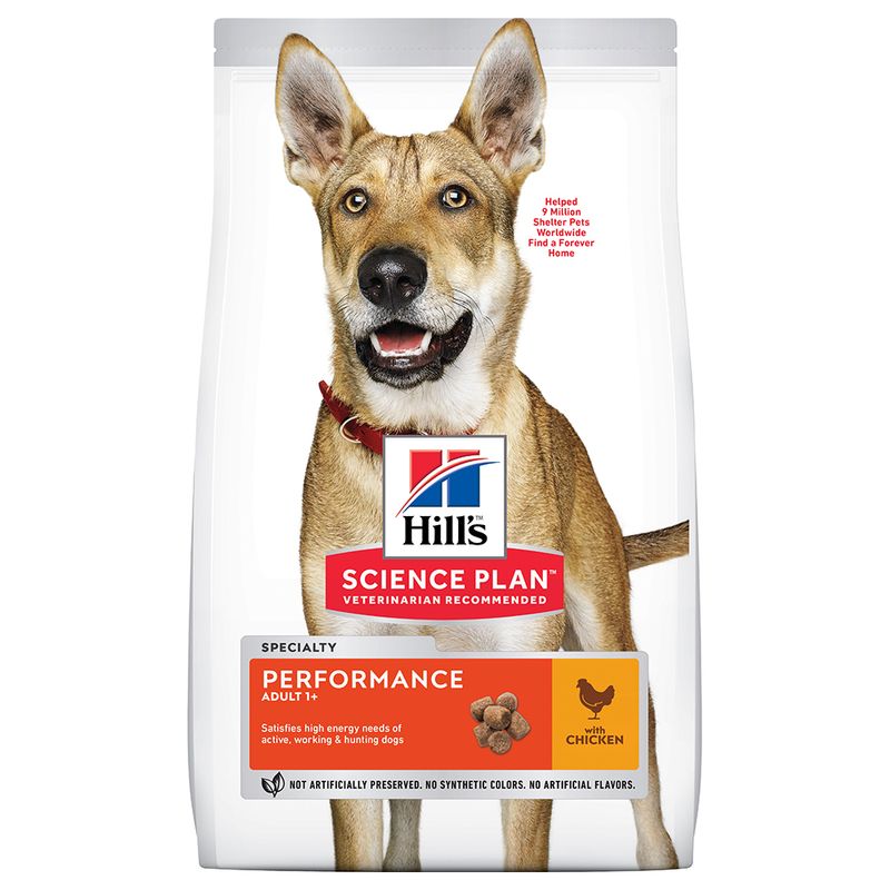 Lots économiques Hill's Science Plan Canine