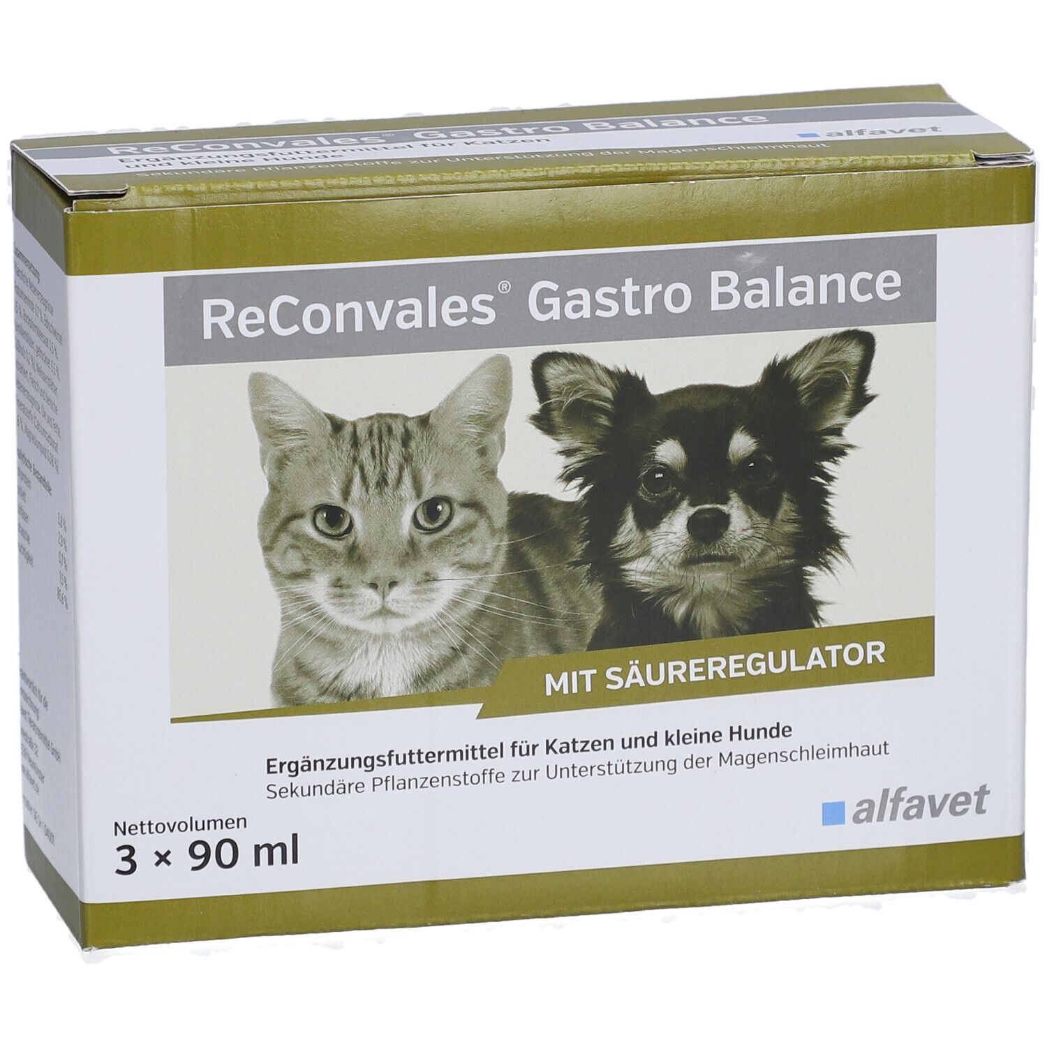 ReConvales®Gastro Balance