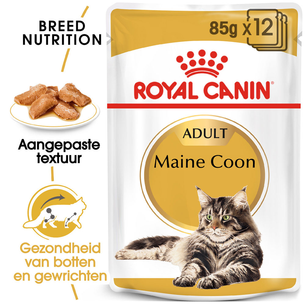 Royal Canin Maine Coon Adult Wet - Kattenvoer