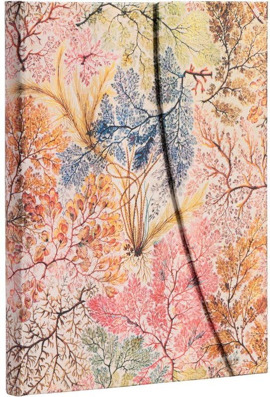 Anemoon - Ultra - Hardcover Notebook - Gelijnd - 144 pagina's - 180 x 230 mm