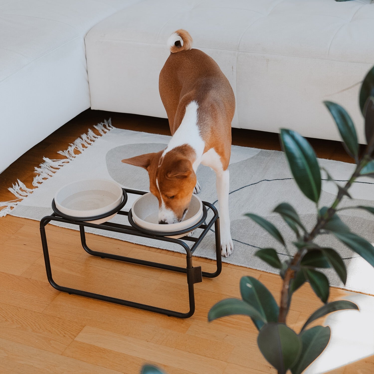 District 70 voerstandaard Butler zwart M 42 x 20 x 24 cm