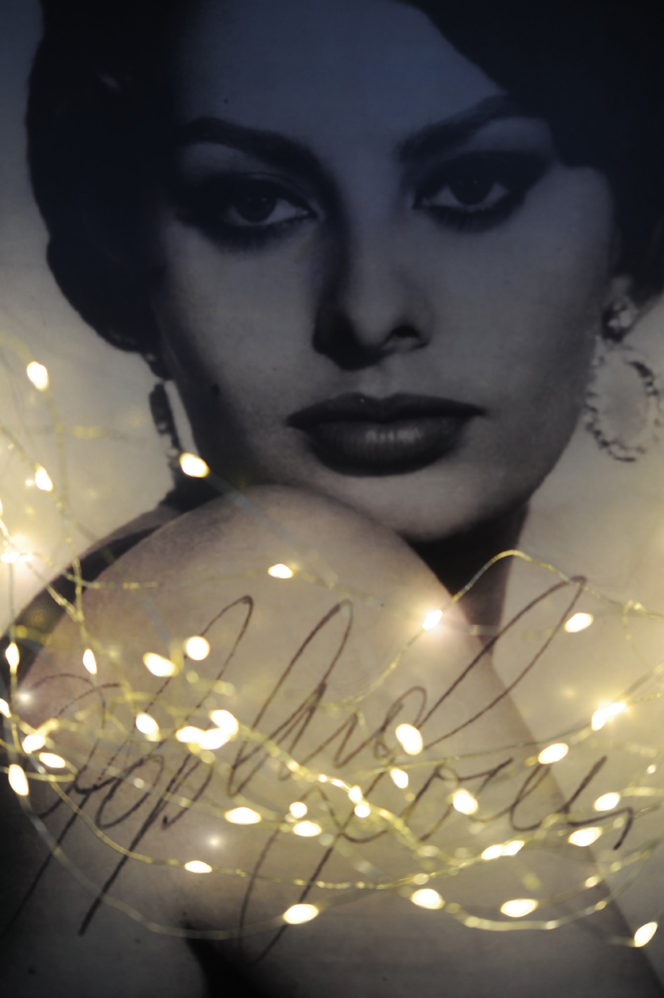 Indoor & Outdoor Lichterschnur 'Lumois', 125 LED, 13 Strippen, 100 cm von fischer's lagerhaus