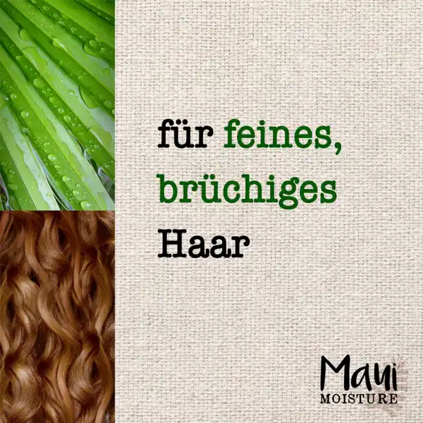 Volume Boost + Bamboo Fibers Conditioner