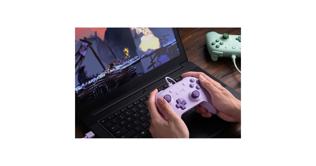 8BitDoUltimate 2C Wired gamepad  (Lila)