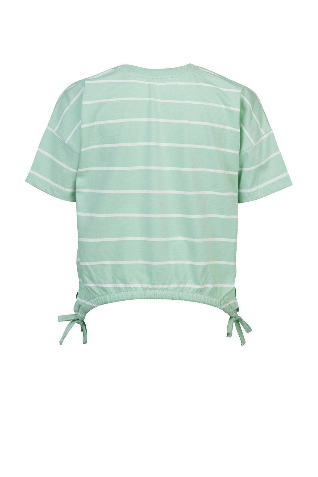 Blue Rebel gestreept T-shirt mintgroen/wit