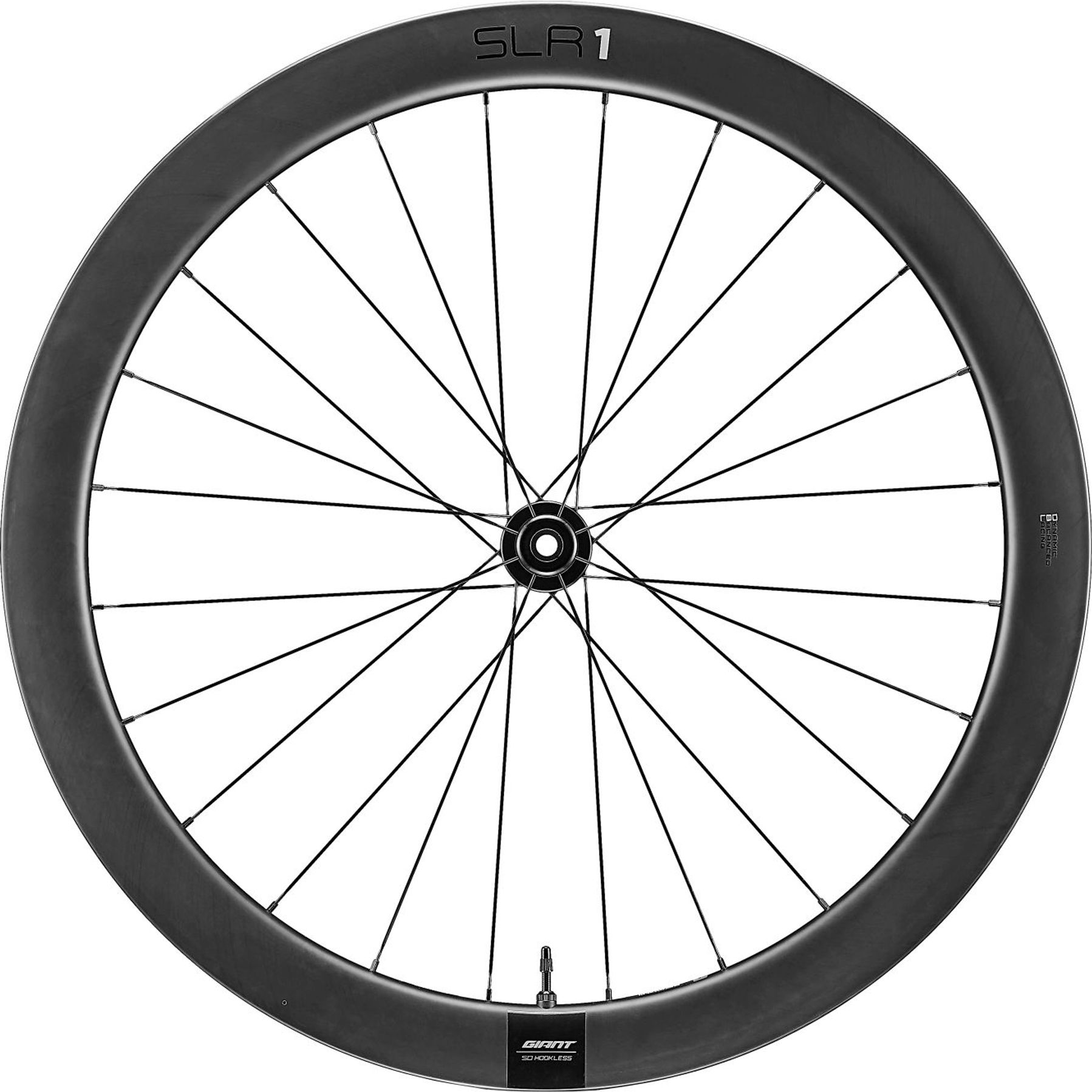 Giant SLR 1 50 Disc Racefiets Wielset