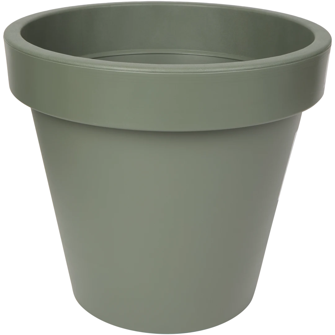 Pot