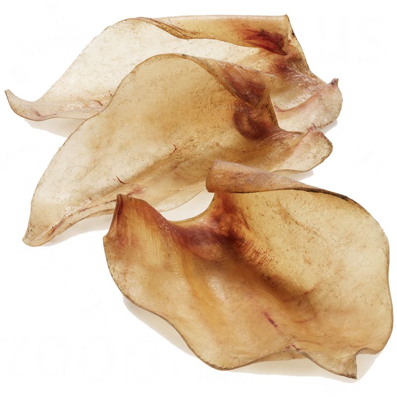 Lot 3 saveurs Rocco 25 x