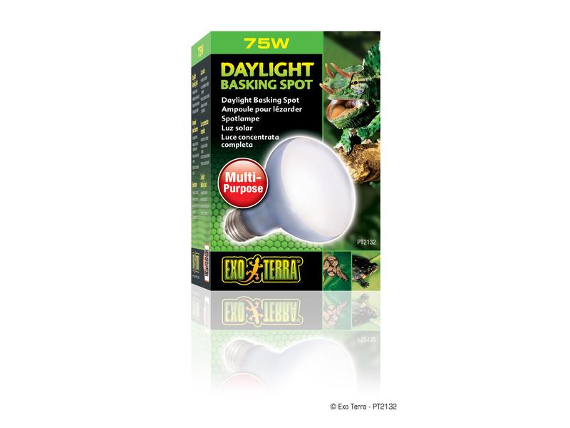 Exo Terra Terrarienlampe Daylight Basking Spot E27, R20/75W Mehrzweck-Spotlampe