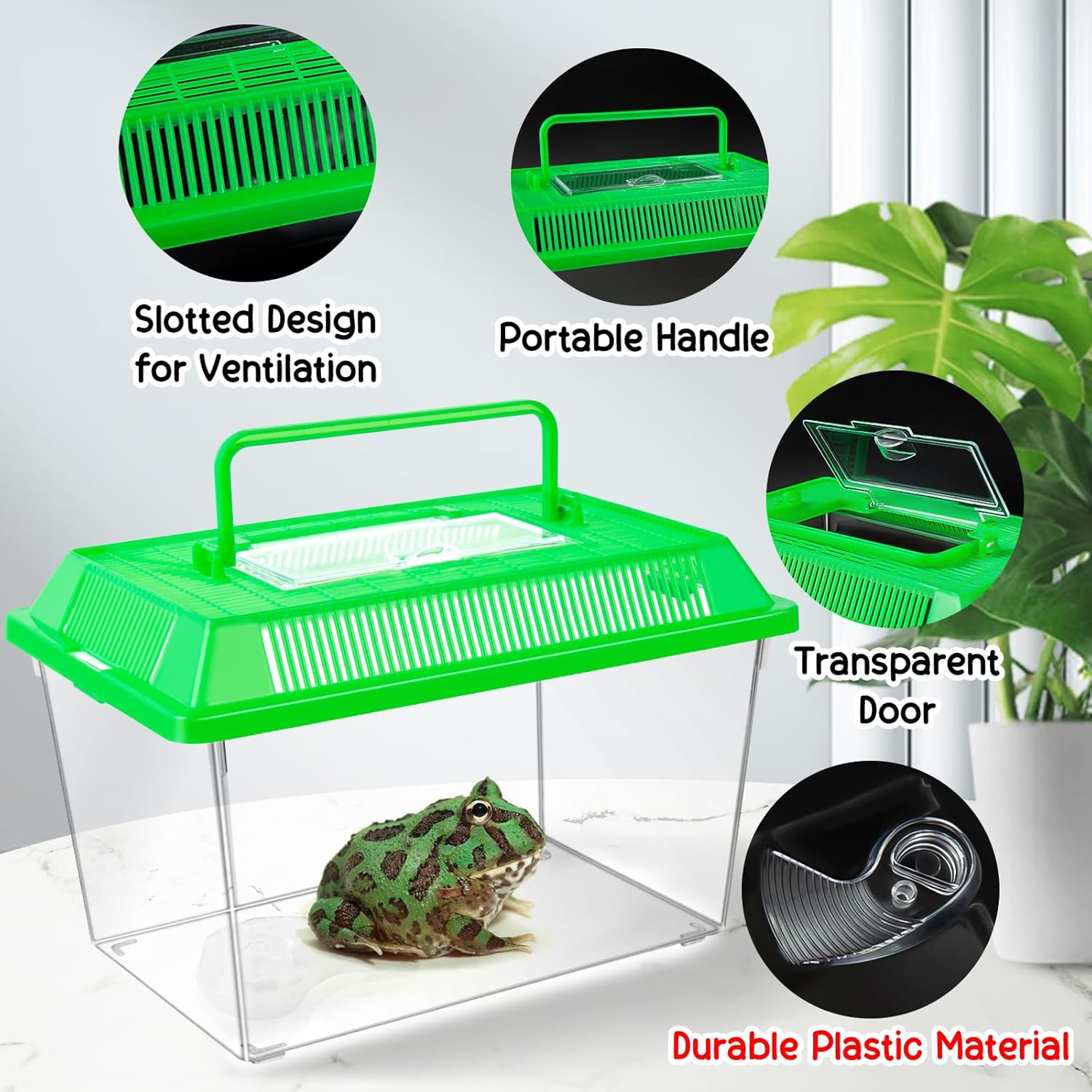 (22x13cm) Insekten Transport Box Outdoor Kinder Forschungs Dose für Käfer / Spinnen / Raupen / Grillen / Frösche - Assortiert