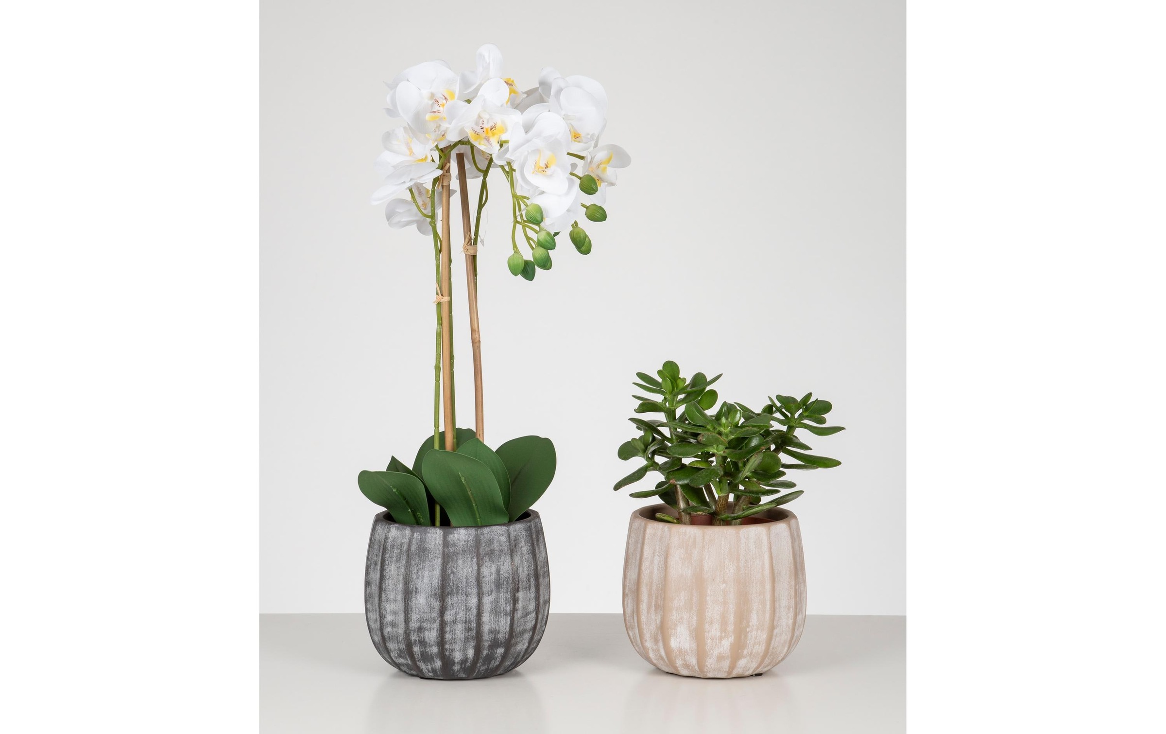 Scheurich Blumentopf »Runa 13 l«