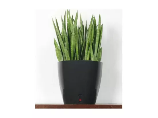 Pot en plastique rond avec réserve d'eau 30 cm Eva