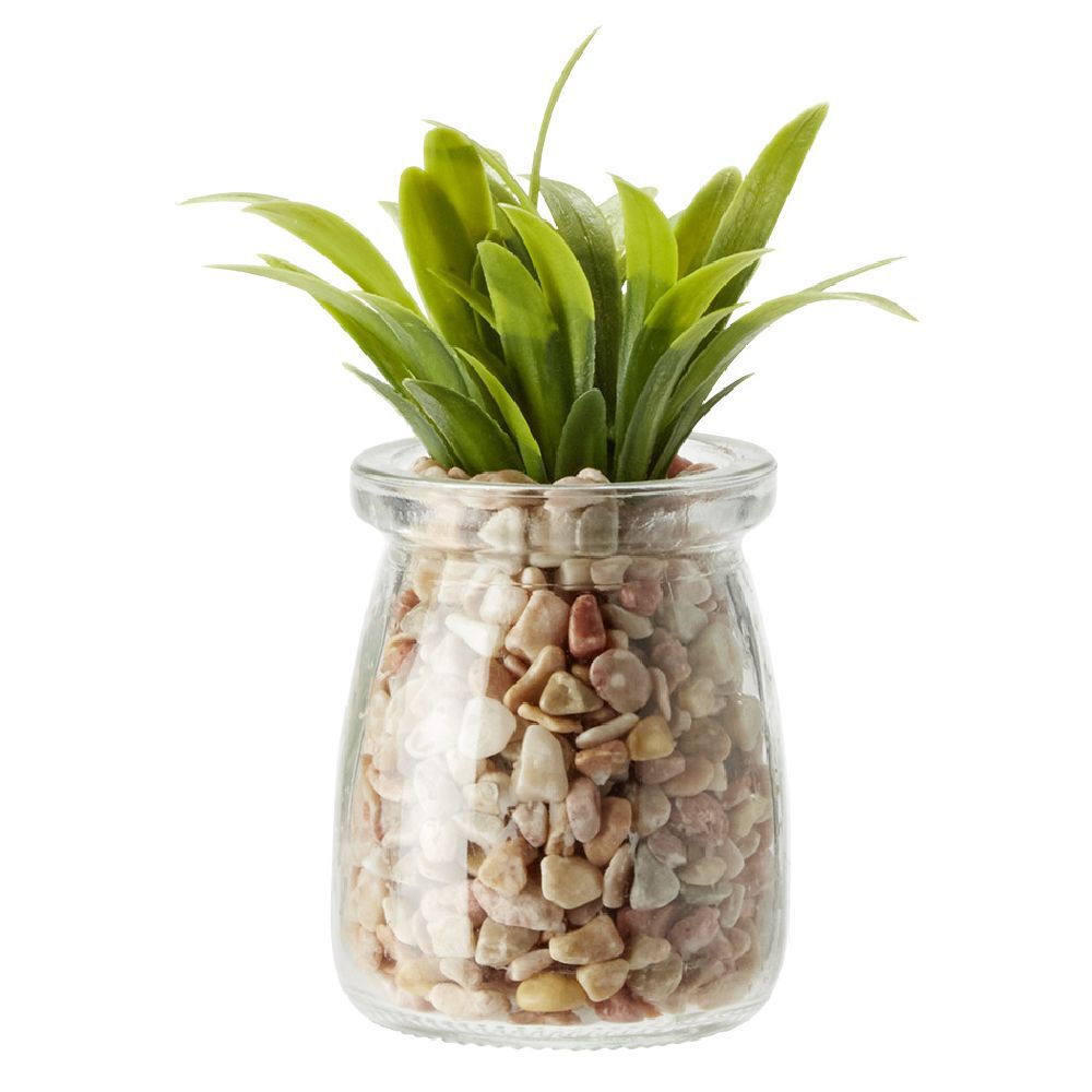 Plante en pot avec cailloux Ø5,5 cm