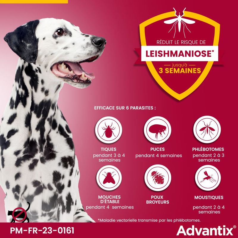 Advantix très grand chien, de 40 kg à 60 kg