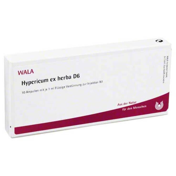Hypericum ex Herba D 6 Ampullen, 10X1 ml