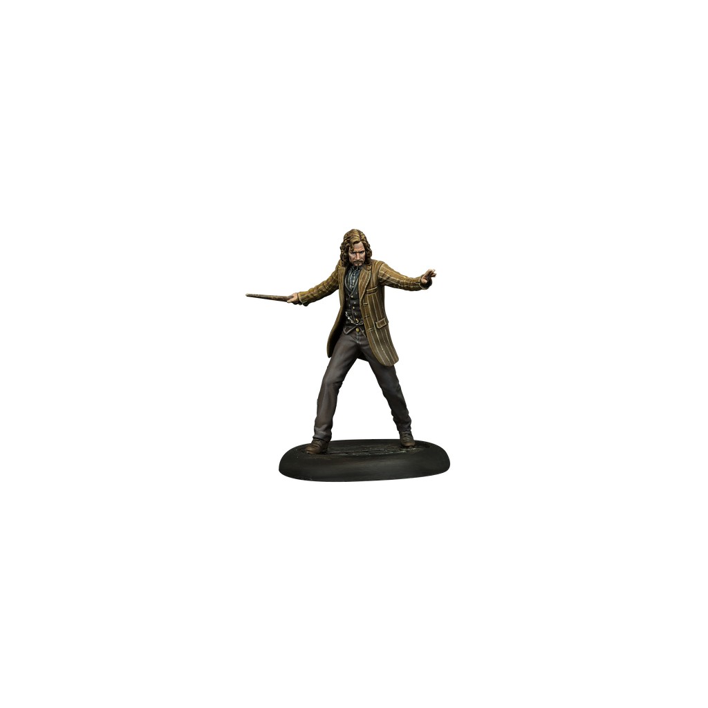 Harry Potter, Miniatures Adventure Game: Ordre du Phoenix