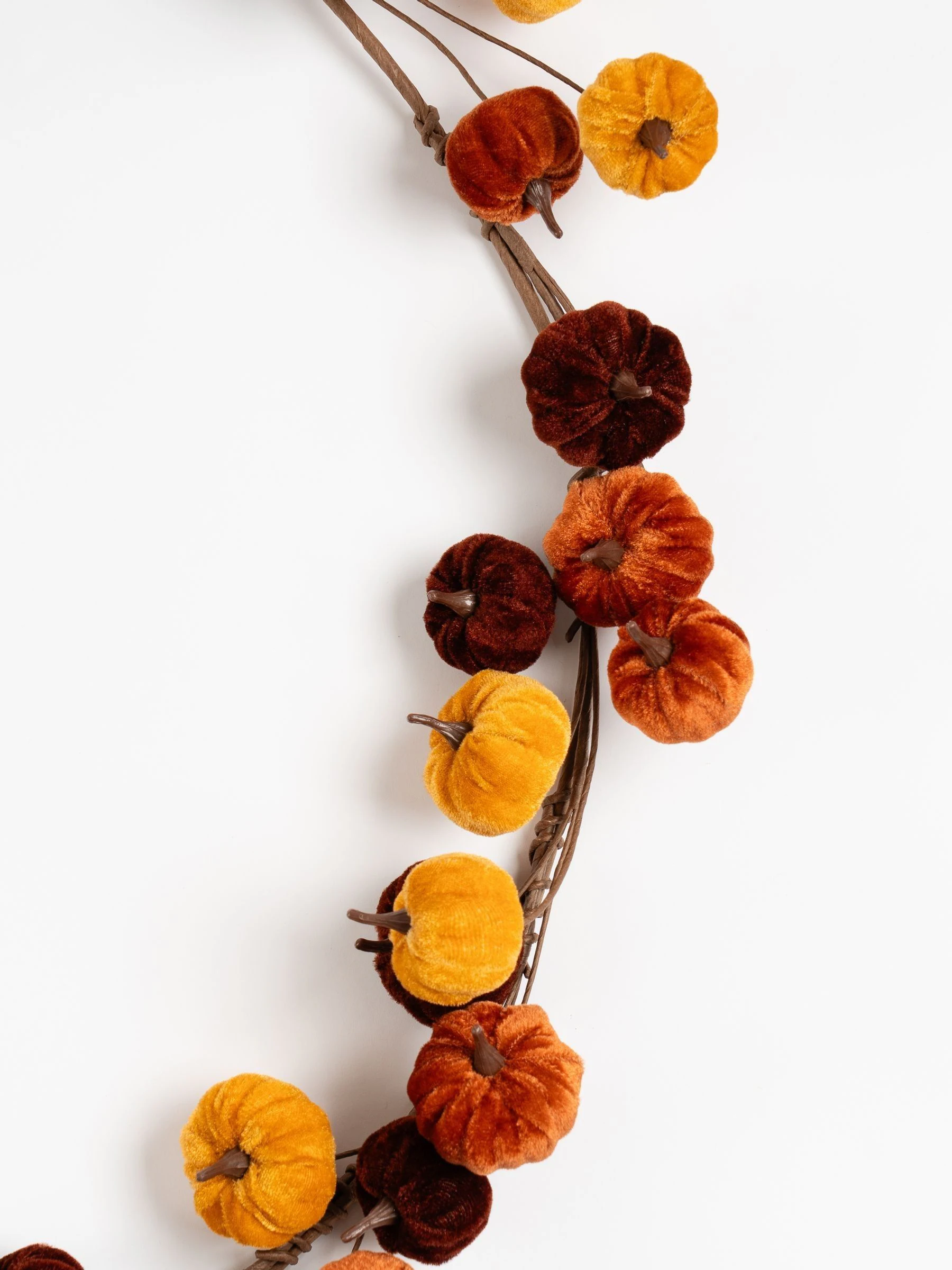 Scottish Everlastings Ltd Velvet Pumpkin Garland