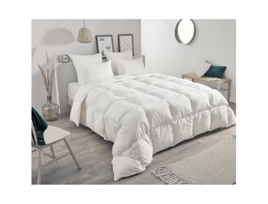 TOISON D'OR - Oreiller - daisy - plumette et duvet - 65x65cm