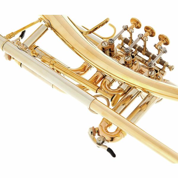 Schagerl Ganschhorn heavy 2021 UL