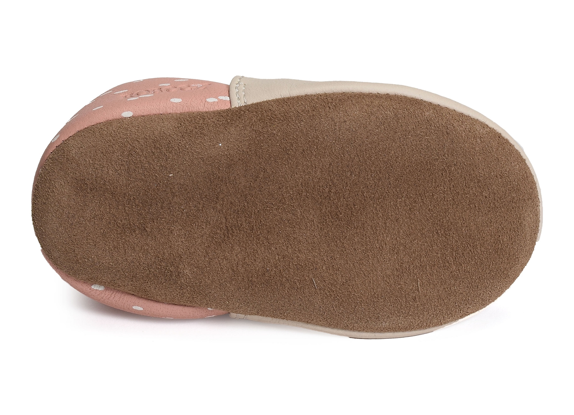 Colorfull dog beige rose