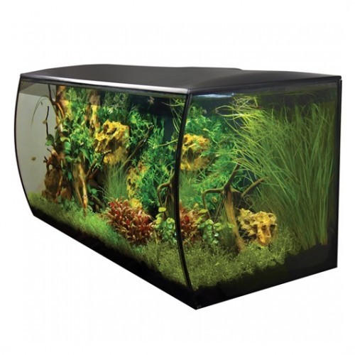 Aquário Flex 123L para peixes, preto