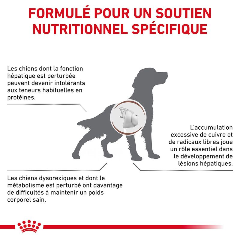Royal Canin Veterinary Canine Hepatic à Prix Discount | bitiba.fr