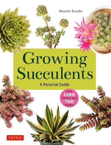 Growing Succulents: A Pictorial Guide (Over 1,500 photos and 700 plants) (Paperback)