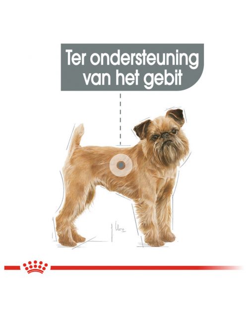 Royal Canin Dental Care Mini - Hondenvoer