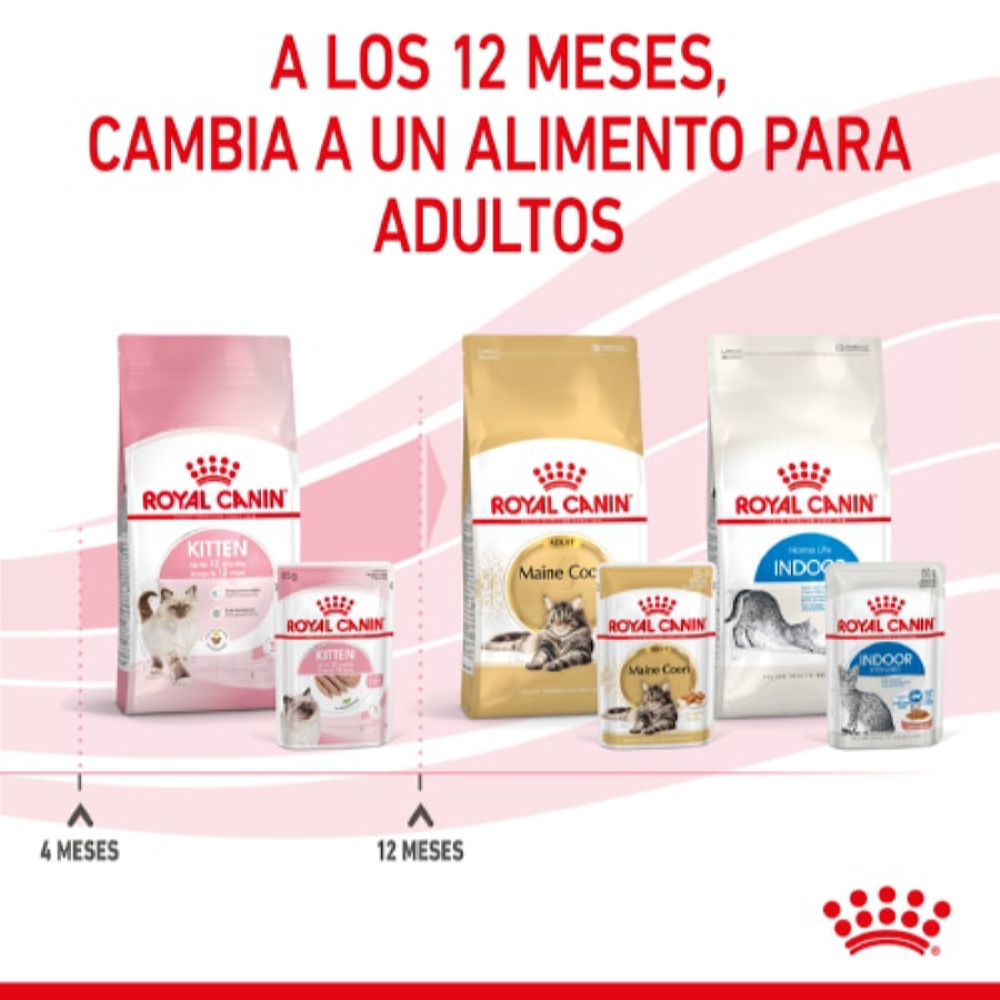 Sachê de patê Royal Canin Kitten para gatos