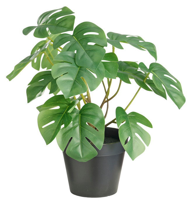 Kunstig monstera i potte H32 cm - DAY