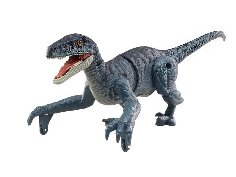 Amewi RC Dinosaurier Velociraptor Blaugrau, RTR Ferngesteuerter Velociraptor Dino
