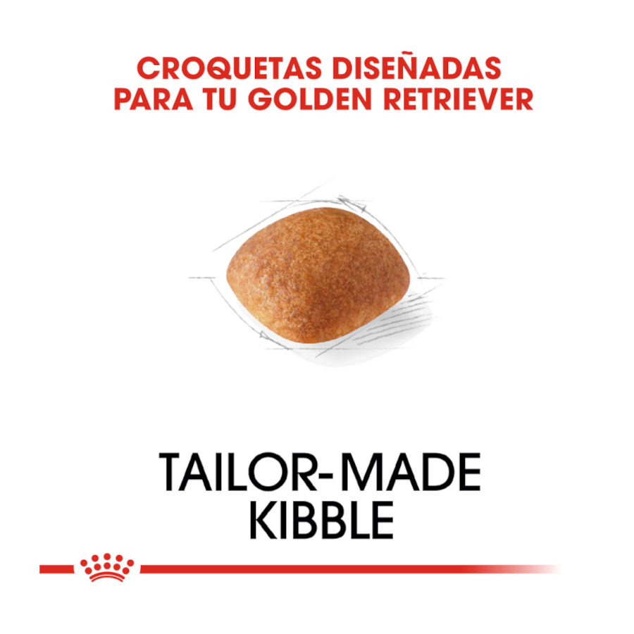 Ração Royal Canin Adult Golden Retriever para cães