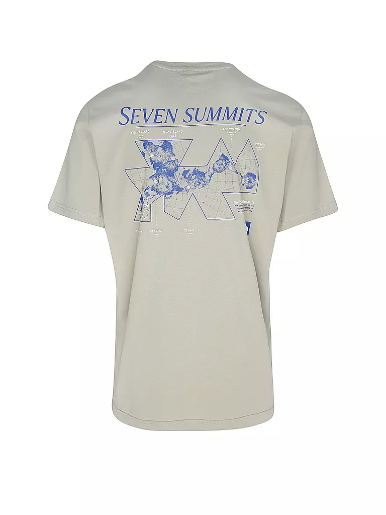 THE NORTH FACE T-Shirt grau