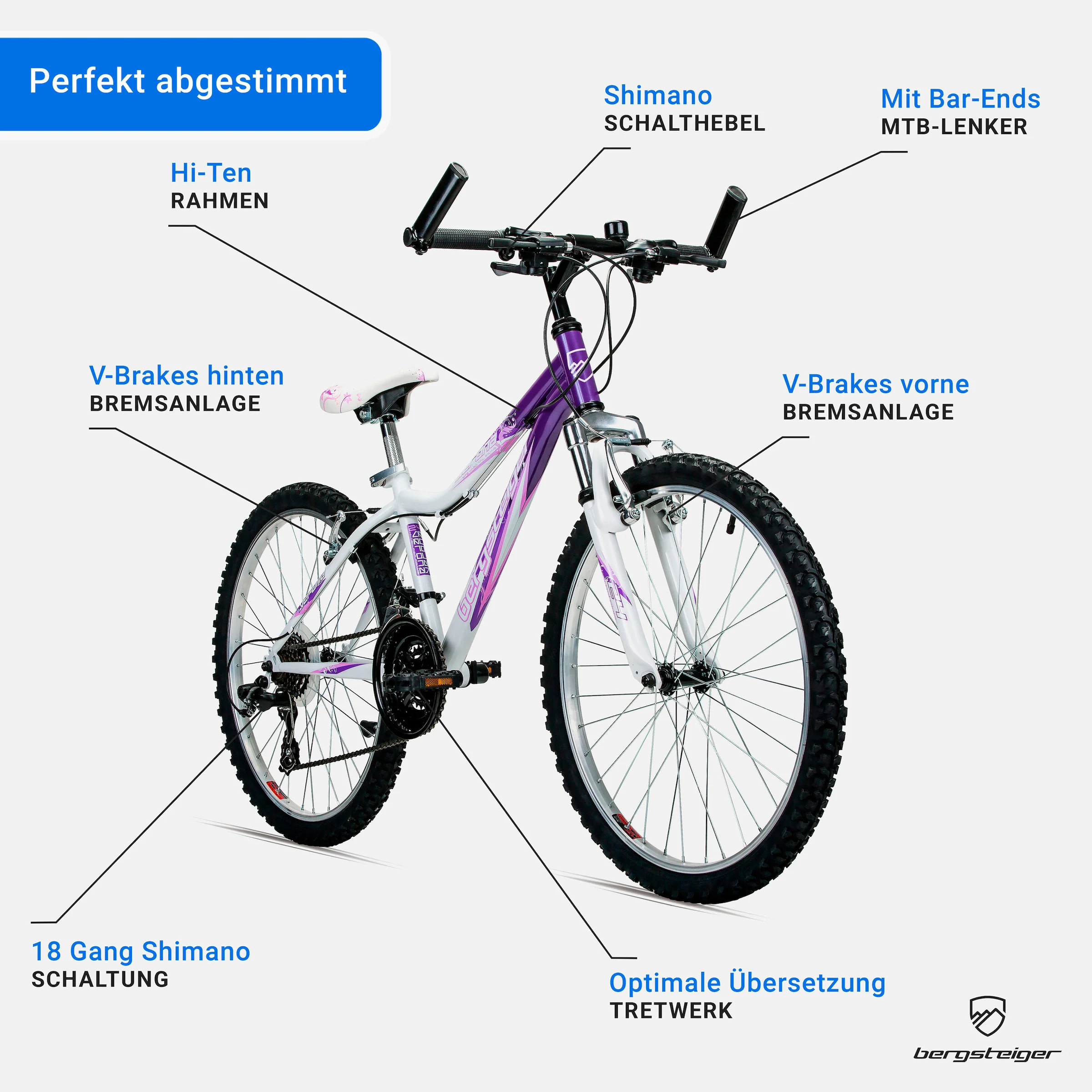 Bergsteiger Mountainbike Verona 24 Zoll | pink