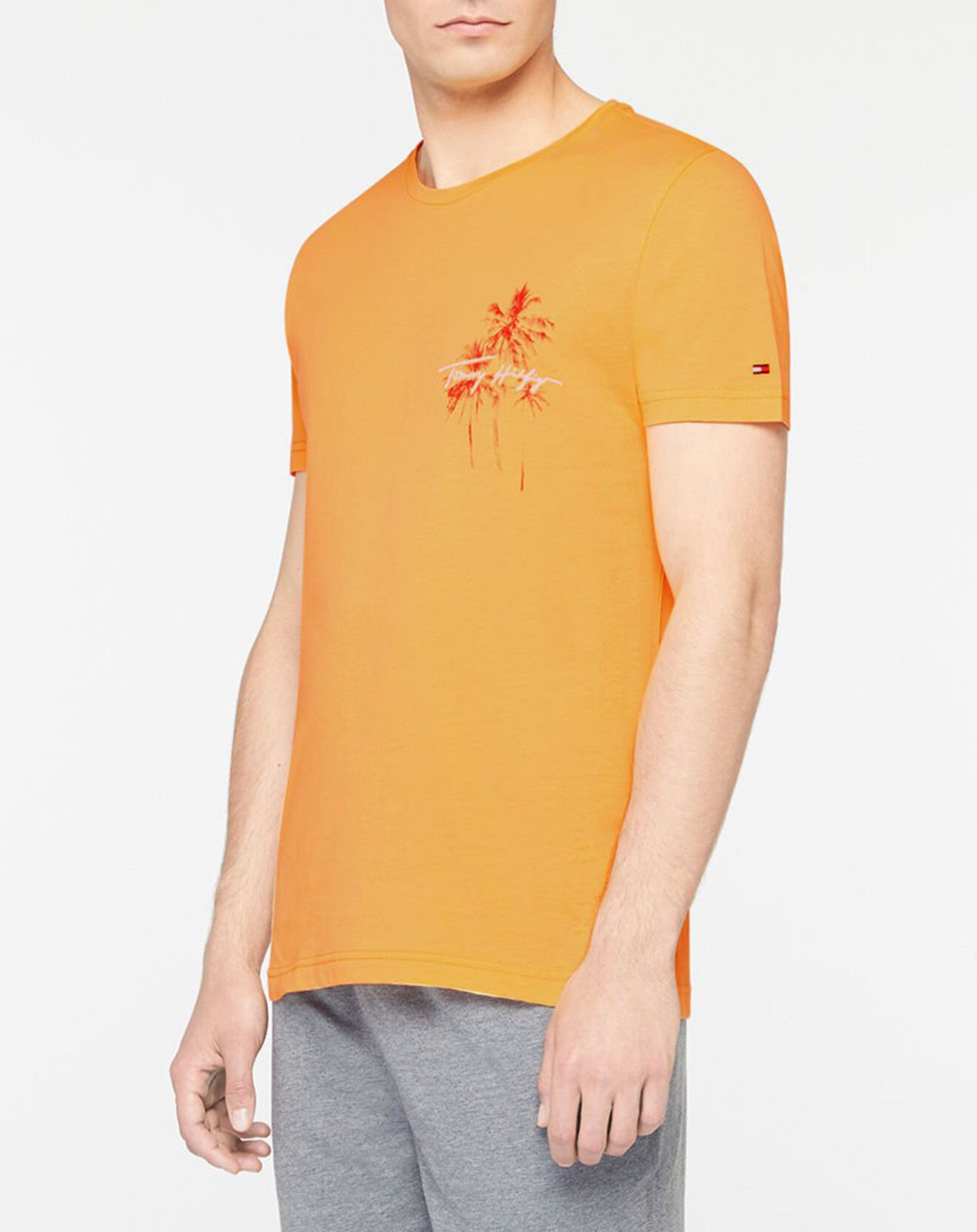 Tommy Hilfiger T-Shirt 100% Coton Bio Palm orange