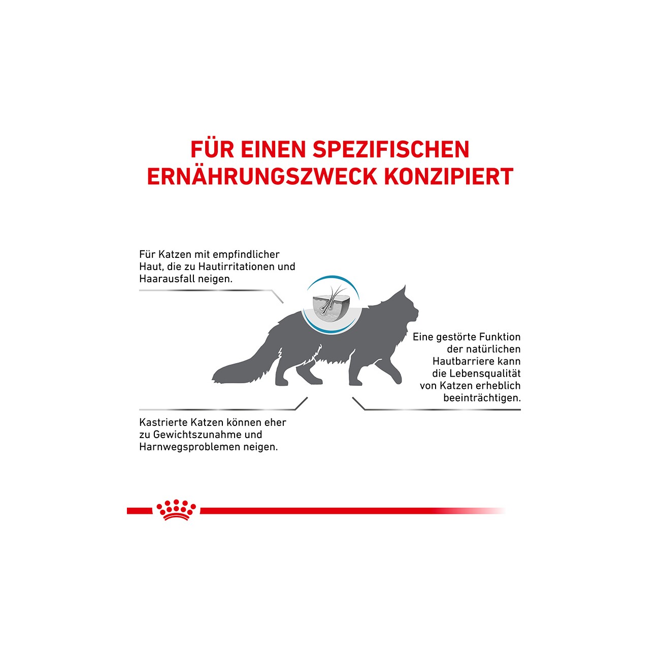 ROYAL CANIN Veterinary Skin & Coat 3,5 kg