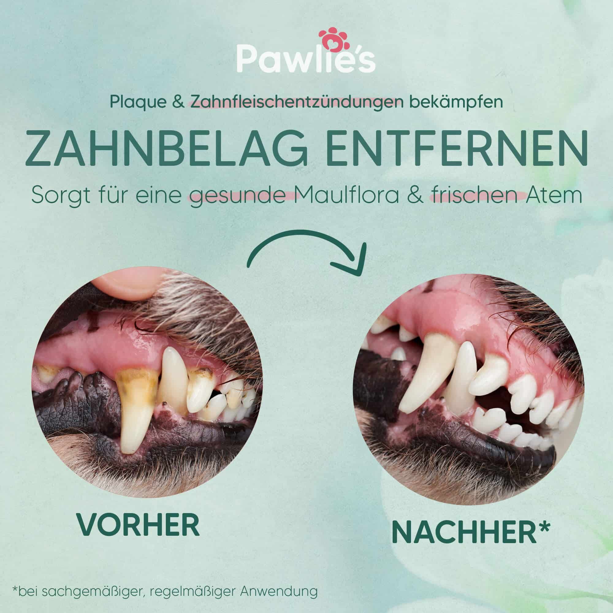 Pawlie's Zahnpflege-Set für Hunde & Katzen