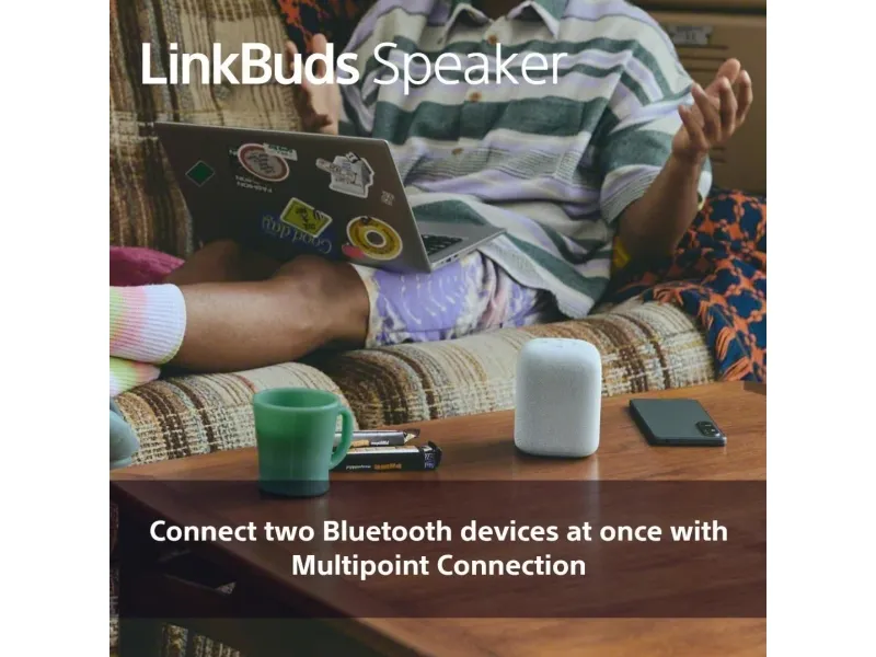 Sony LinkBuds SRS-LS1 - Højttaler - til transportabel brug - trådløs - Bluetooth - App-kontrolleret - 2-vejs - lysegrå
