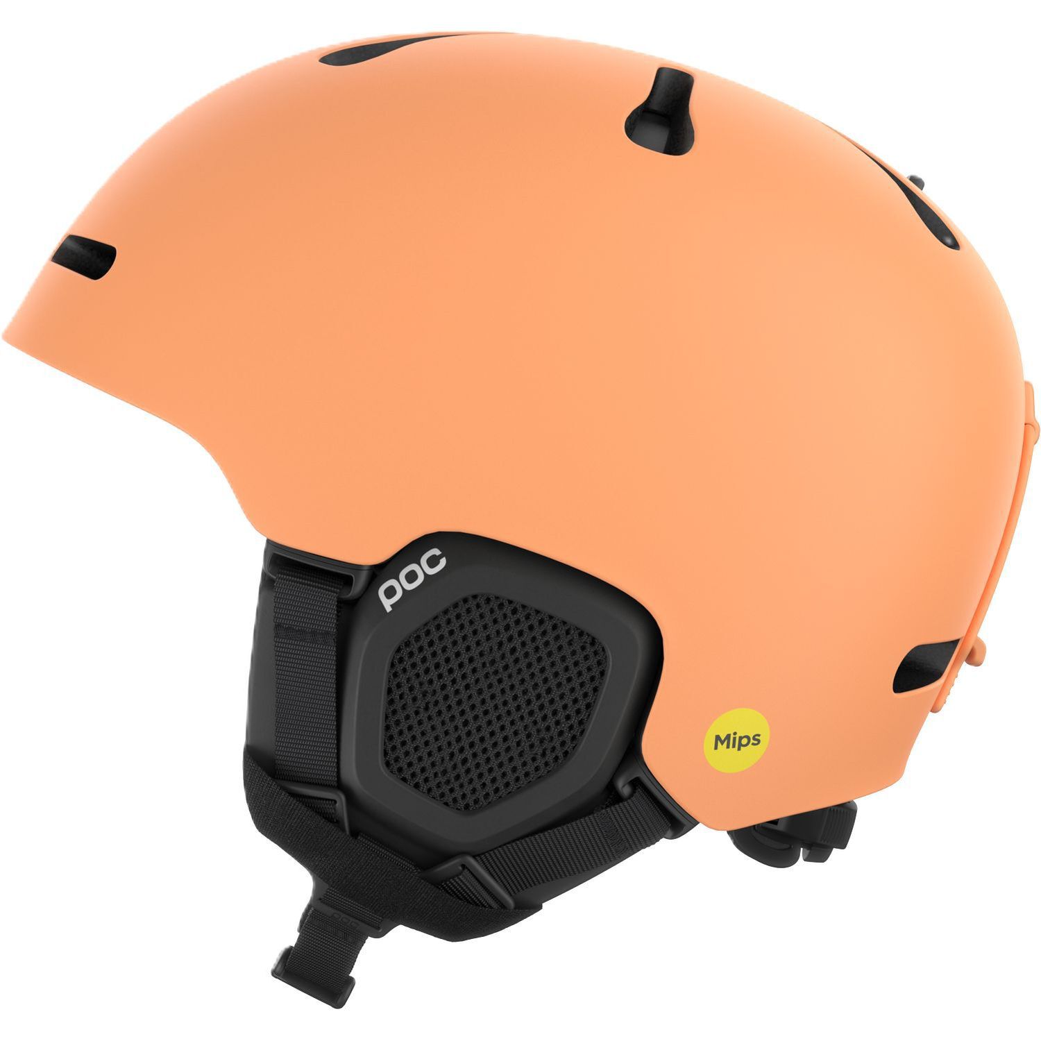 POCFornix MIPS
